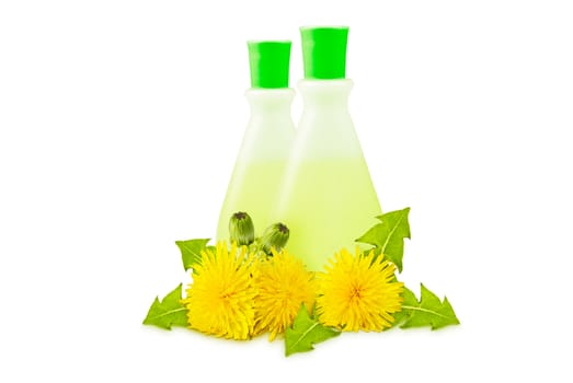 two translucent vial, yellow dandelions with green leaves and buds on a white background