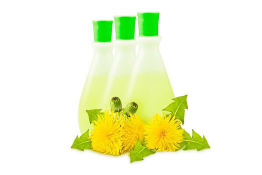  three translucent vial, yellow dandelions with green leaves and buds on a white background