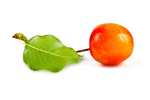 one ripe, juicy, delicious sweet cherry and green leave isolated on white background