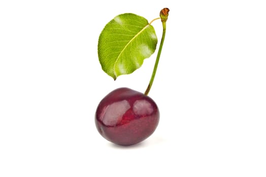 one ripe, juicy, delicious sweet cherry and green leave isolated on white background