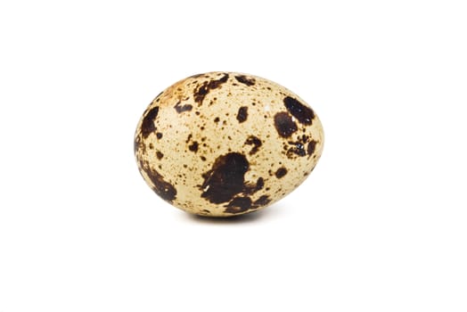 Motley quail egg on a white background