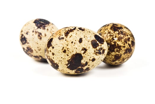 Motley quail eggs on a white background