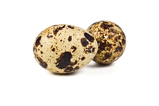 Motley quail eggs on a white background