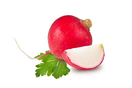 radishes whole, slice and parsley leaf on white background