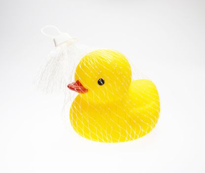 The yellow duck isolate on white background 