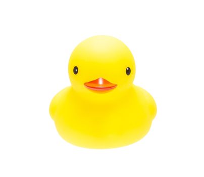 The yellow duck isolate on white background 