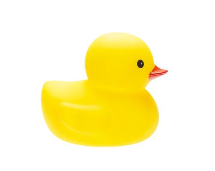 The yellow duck isolate on white background 