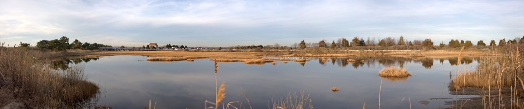 Marsh area located at Meigs Point in Hammonasset State Park Connecticut USA.