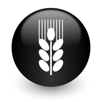 black glossy computer icon
