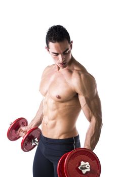 Muscular sexy shirtless young man exercising biceps with dumbbells, isolated on white 