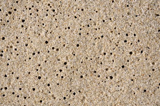 The sand on the beach in Varna when the water has receded 