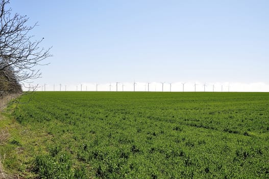 Industrial farming and wind mill park on plateau of Kaliakra in Bulgaria 