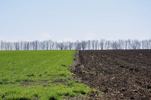 Industrial agriculture on plateau of Kaliakra in Bulgaria