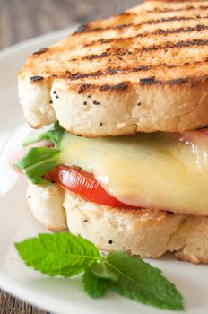 Grilled sandwich close up with melted cheese and tomato