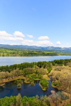 The view from a small hill overlooking Columbia river gorge.