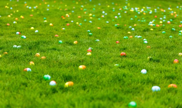 A spring meadow with Easter eggs hidden in the grass