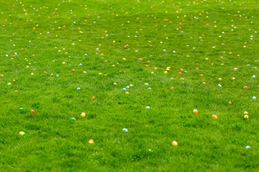 A spring meadow with Easter eggs hidden in the grass