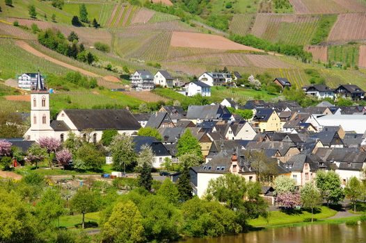 springtime in Reil on the Moselle with a slight flood
