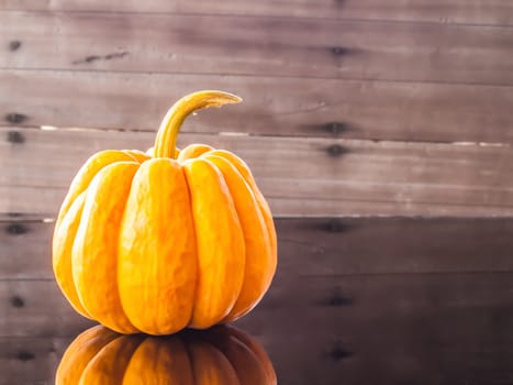 Yellow beautifull pumkin on black glass and on wood background