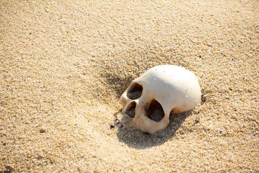 human skull half buried in the beach sand