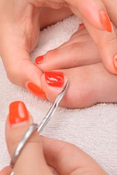 pedicure process macro closeup, cleaning of cuticle