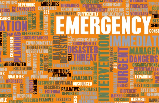 Emergency Planning and Disaster Response as Concept