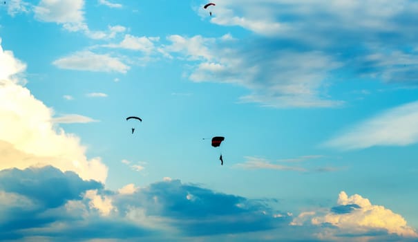 silhouettes of unidentified skydivers parachutist on blue sky on sunset