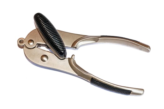 Metal can opener isolated closeup                               
