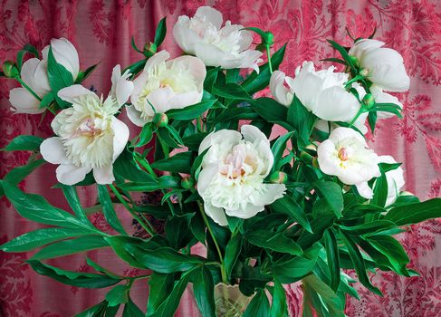 Beautiful bouquet from white peonies against the embroidered silk of claret color