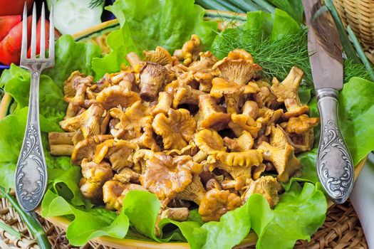 Dish with lettuce leaves on which appetizing fried chanterelles are located, are photographed by a close up