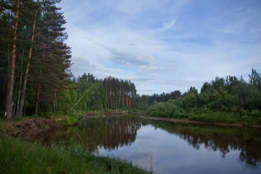 Green forest near sandy bank of river in the evening