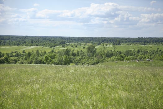 Summer landscape with forest, meadow and clouds