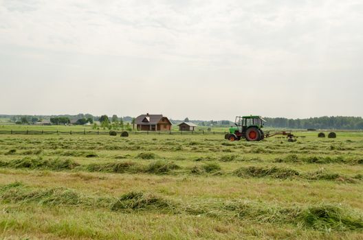 tractor turning raking cut hay with rotary rakes in agriculture field. Seasonal farm works.