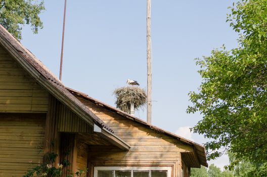 stork nests with the lonely stork over the homestead roof in summer