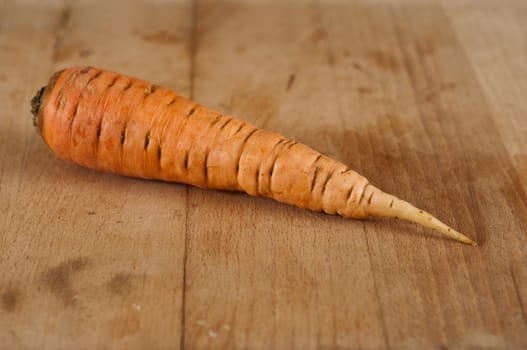 one Carrot on wooden board