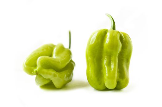 jamaican peppers on white background