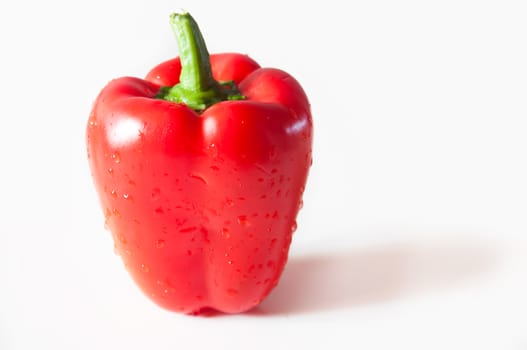 red paprika on white background