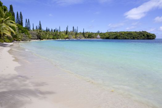 Shoreline, Kuto. Iles des Pins (Isle of Pines)