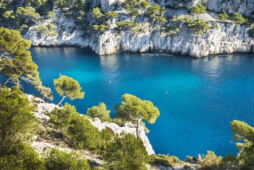 Calanques of Port Pin in Cassis in France near Marseille