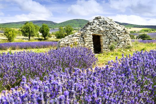 Dmall caban. Summer sunset in Provence, France. 