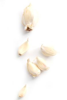 garlic on a white background