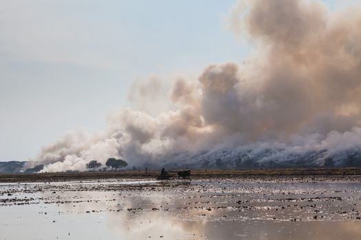 Burning garbage heap of smoke from a burning pile of garbage