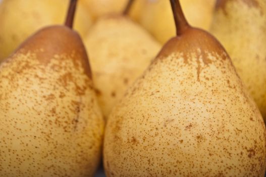 groups of yellow pears closeup