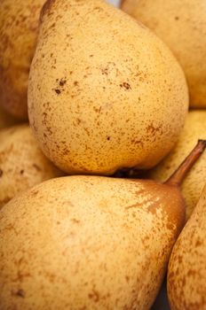 groups of yellow pears closeup