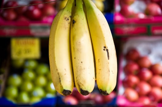 group of bananas in the fruits store