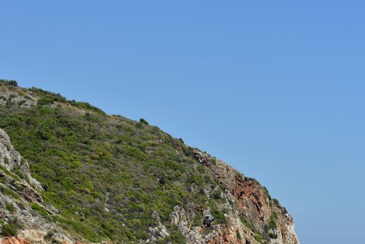 Mountain with trees against the blue sky