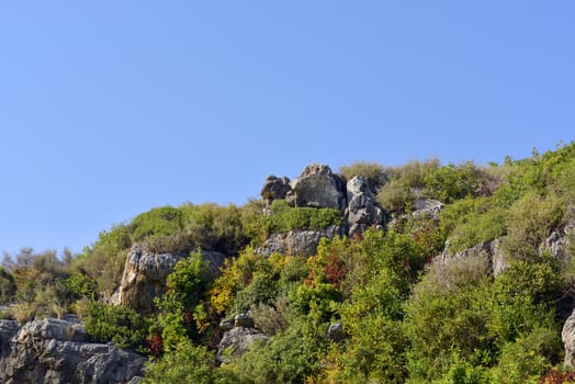 Mountain with trees against the blue sky