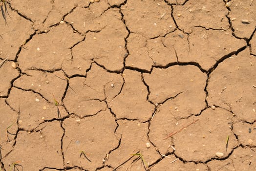 Cracked brown ground surface. Close up natural background