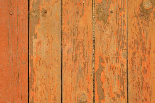 Painted wooden boards with nails. The orange color