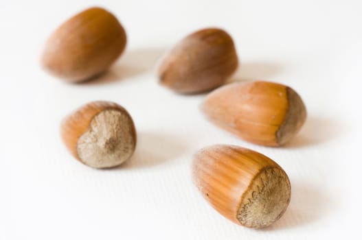 group of nuts closeup on white background